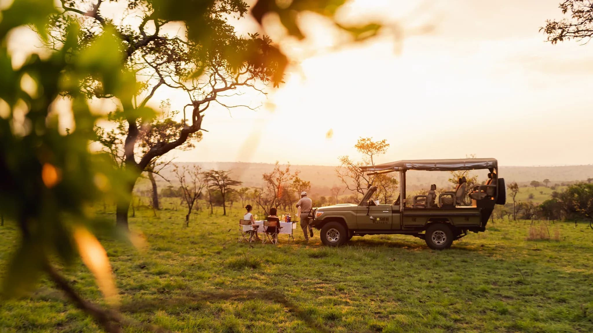African safari landscape