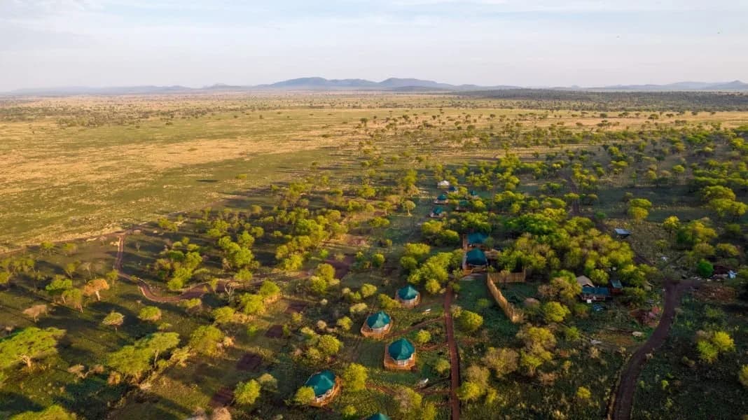 Acacia-drone-New-33-scaled-e1729600499141