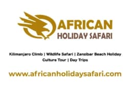 African Holiday Safari